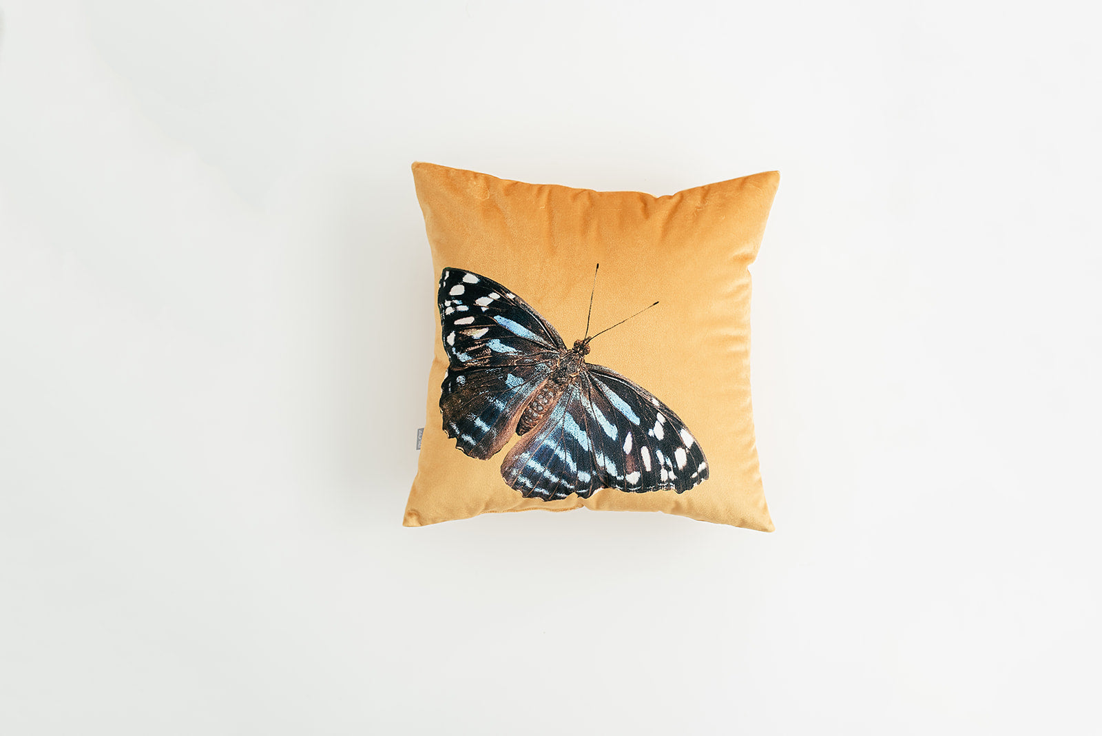 Golden Velvet Butterfly Pillow