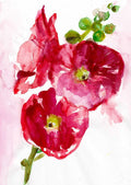 Hibiscus – Fine Art Print