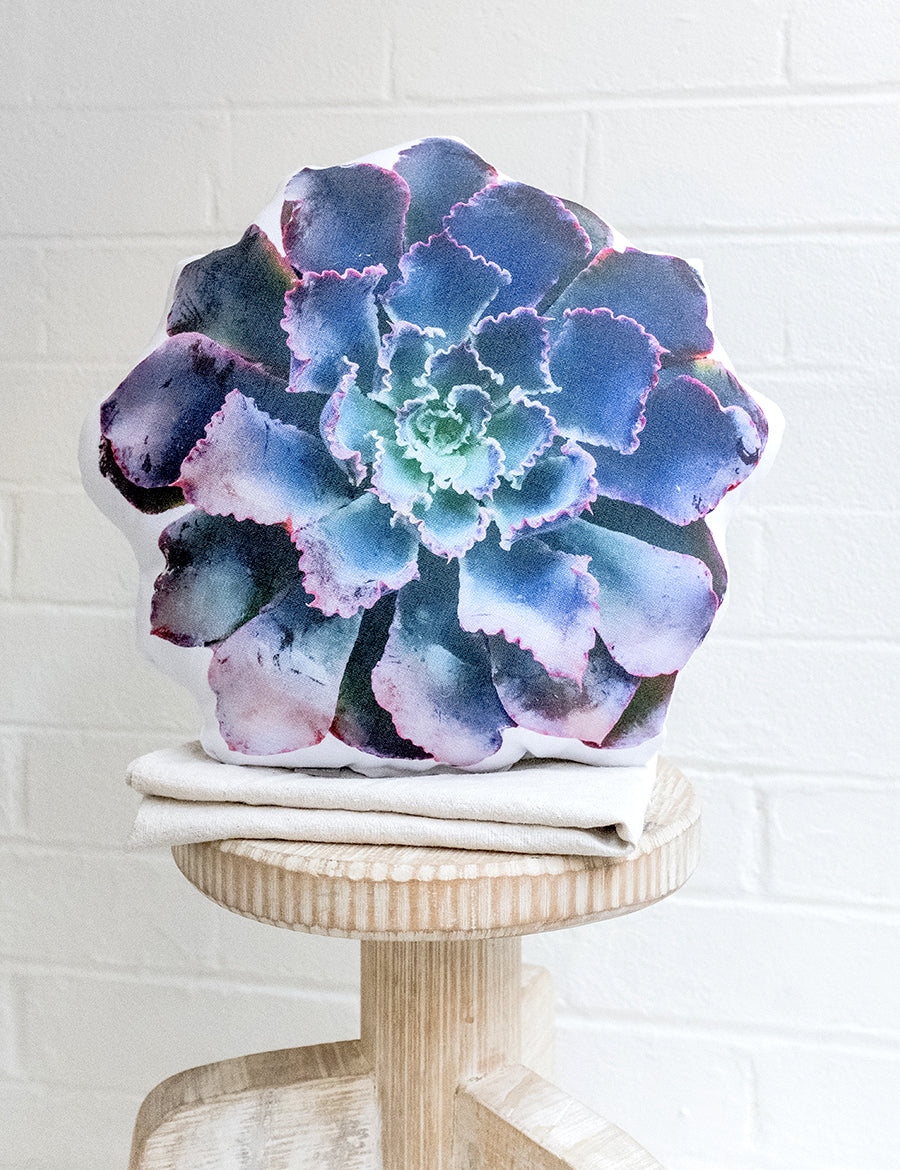 Lettuce Succulent Pillow