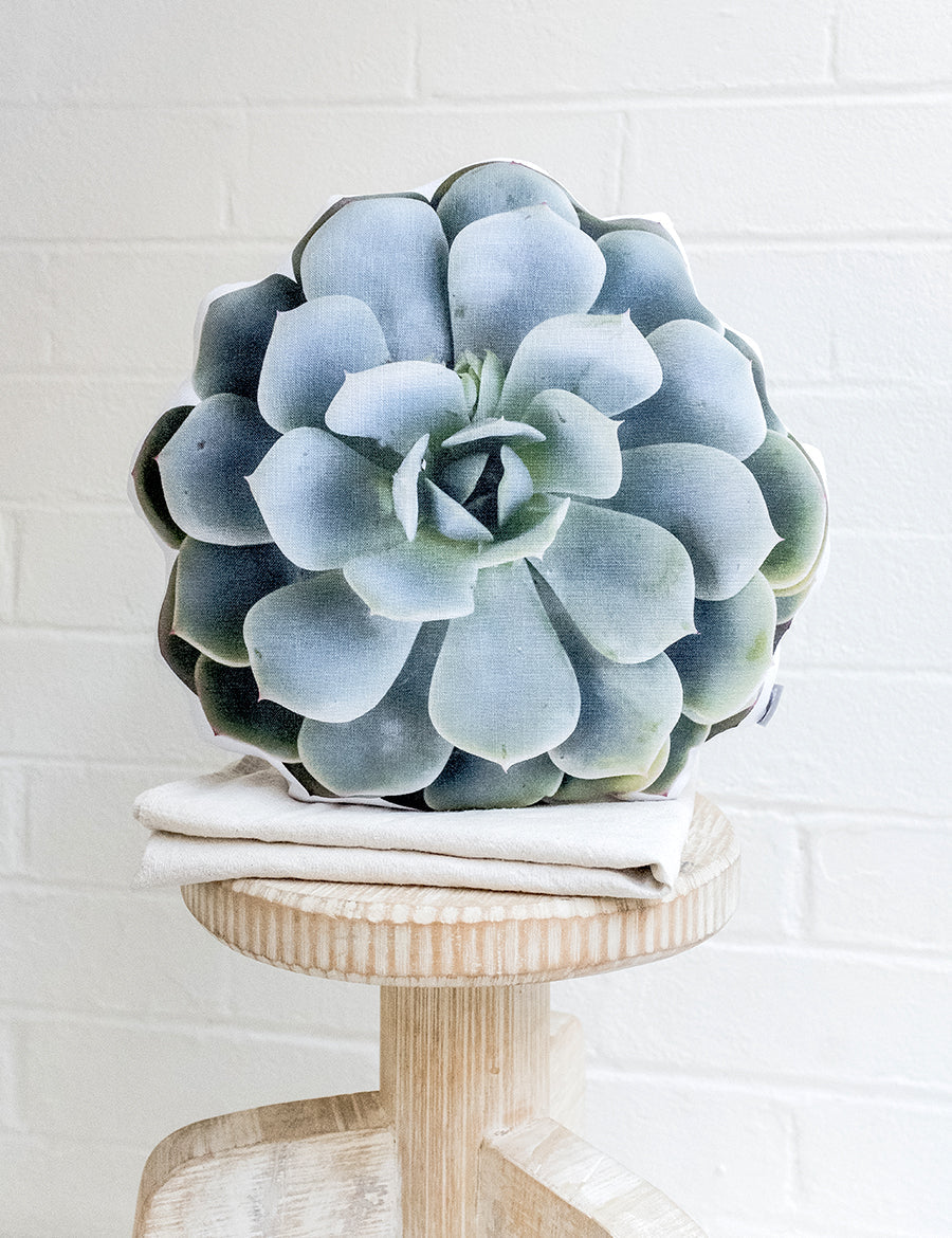 Topsy Turvy Pillow